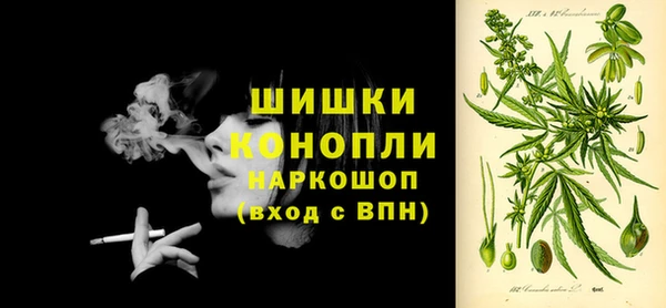 ГАЛЛЮЦИНОГЕННЫЕ ГРИБЫ Беломорск