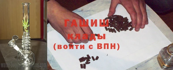 индика Богданович